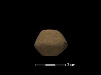 藏品(紡輪)的圖片