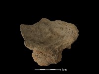 藏品(容器)的圖片