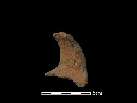 藏品(陶罐)的圖片