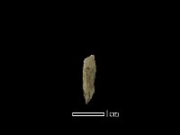 藏品(石材)的圖片