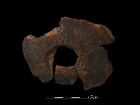 藏品(陶片)的圖片