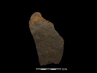 藏品(陶片)的圖片