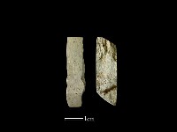 藏品(錛鑿形器)的圖片