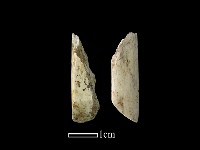 藏品(錛鑿形器)的圖片