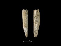 藏品(錛鑿形器)的圖片