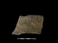 藏品(陶罐)的圖片