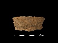 藏品(陶罐)的圖片