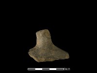 藏品(陶蓋鈕)的圖片