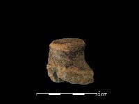 藏品(陶蓋鈕)的圖片