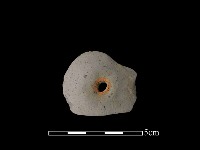 藏品(紡輪)的圖片