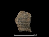 藏品(陶片)的圖片