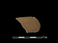 藏品(陶片)的圖片