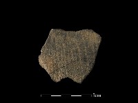 藏品(陶片)的圖片