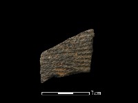 藏品(陶片)的圖片