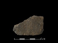 藏品(陶片)的圖片