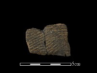 藏品(陶片)的圖片