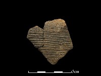 藏品(陶片)的圖片