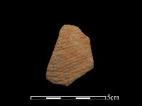 藏品(陶片)的圖片