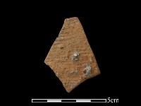 藏品(陶片)的圖片