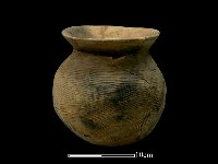 藏品(陶罐)的圖片