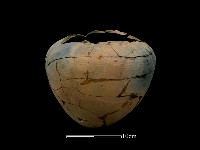 藏品(陶罐)的圖片