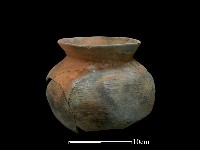 藏品(陶罐)的圖片