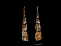 藏品(鐵鏃)的圖片