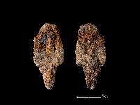 藏品(鐵鏃)的圖片