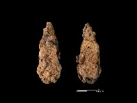 藏品(鐵鏃)的圖片