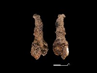 藏品(鐵鏃)的圖片