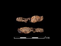 藏品(尖器)的圖片