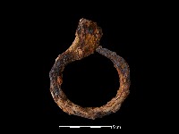 藏品(鐵環)的圖片