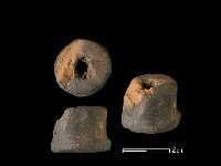 藏品(紡輪)的圖片