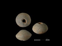 藏品(紡輪)的圖片