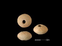 藏品(紡輪)的圖片