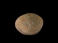 藏品(陶片)的圖片