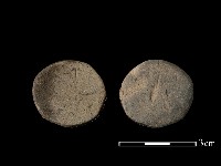 藏品(陶片)的圖片