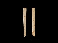 藏品(骨簪)的圖片