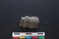 藏品(梅花鹿骨)的圖片