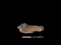 藏品(山羌骨)的圖片