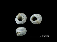 藏品(玻璃珠)的圖片