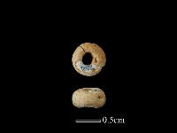 藏品(玻璃珠)的圖片