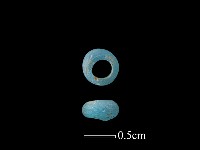 藏品(玻璃珠)的圖片