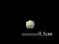 藏品(玻璃珠)的圖片