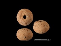 藏品(紡輪)的圖片