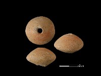 藏品(紡輪)的圖片