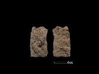 藏品(鐵片)的圖片