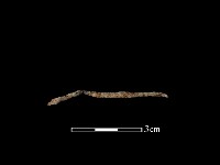 藏品(鐵線)的圖片