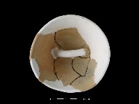 藏品(陶蓋)的圖片