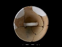 藏品(陶蓋)的圖片